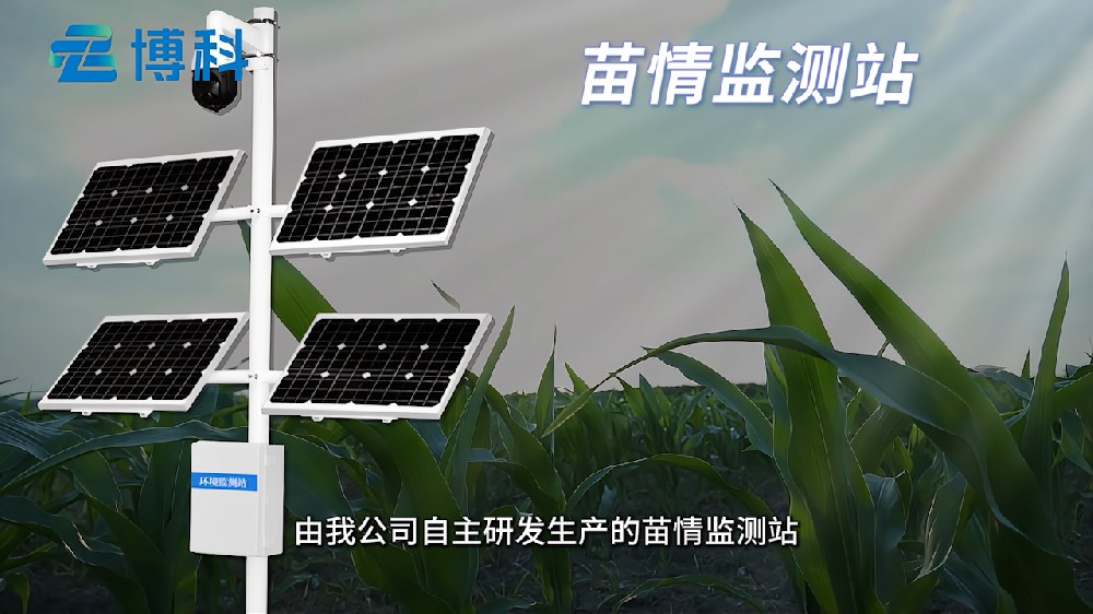 苗情監(jiān)測(cè)系統(tǒng)掌握田間苗情、病蟲害、災(zāi)情情況