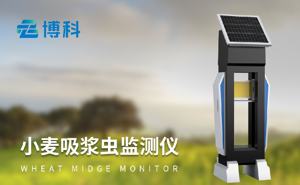 小麥吸漿蟲防治方法,吸漿蟲測(cè)報(bào)儀